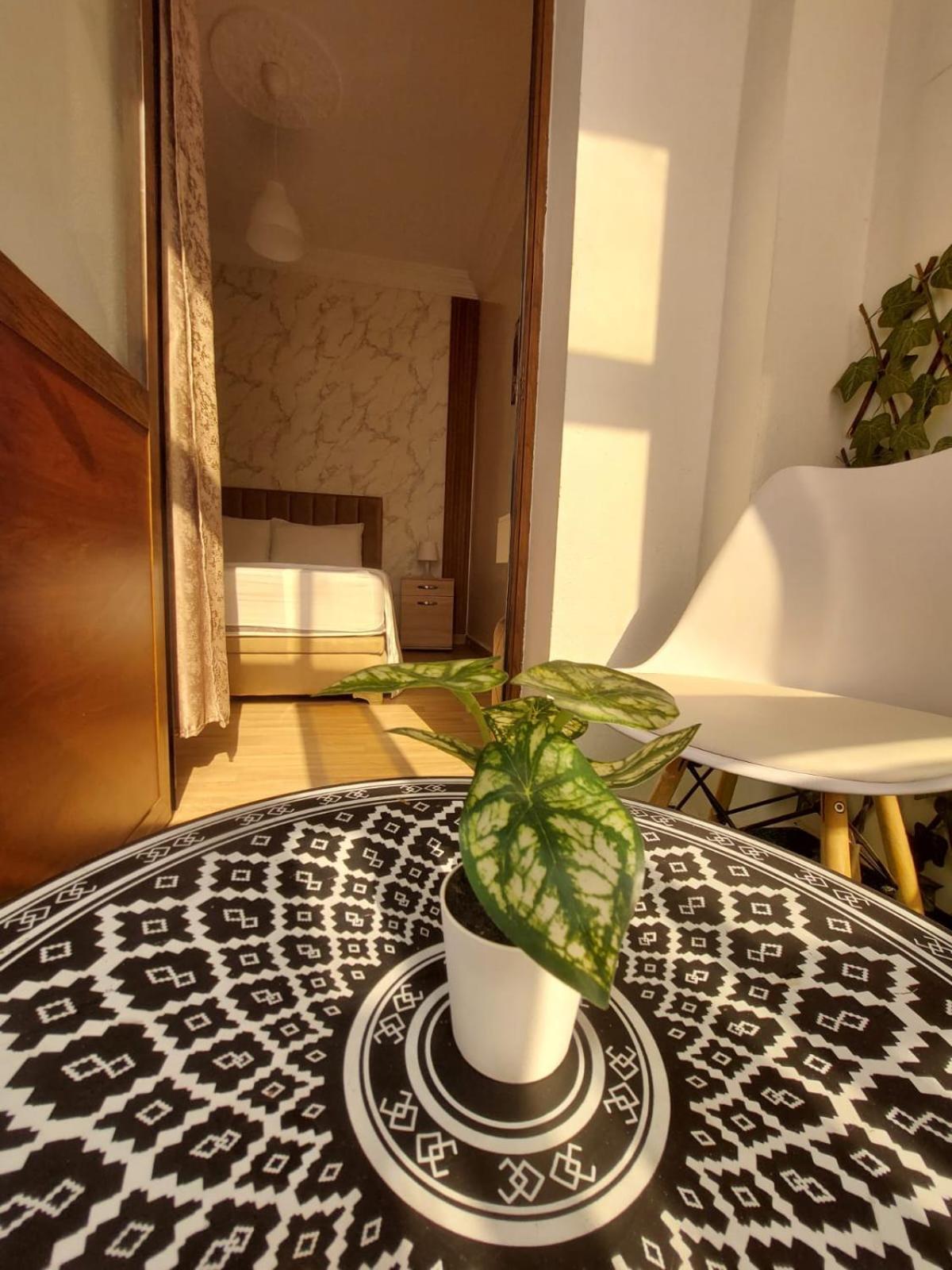 Charite Host Appartement , Wifi Et Parking Gratuit أغادير المظهر الخارجي الصورة